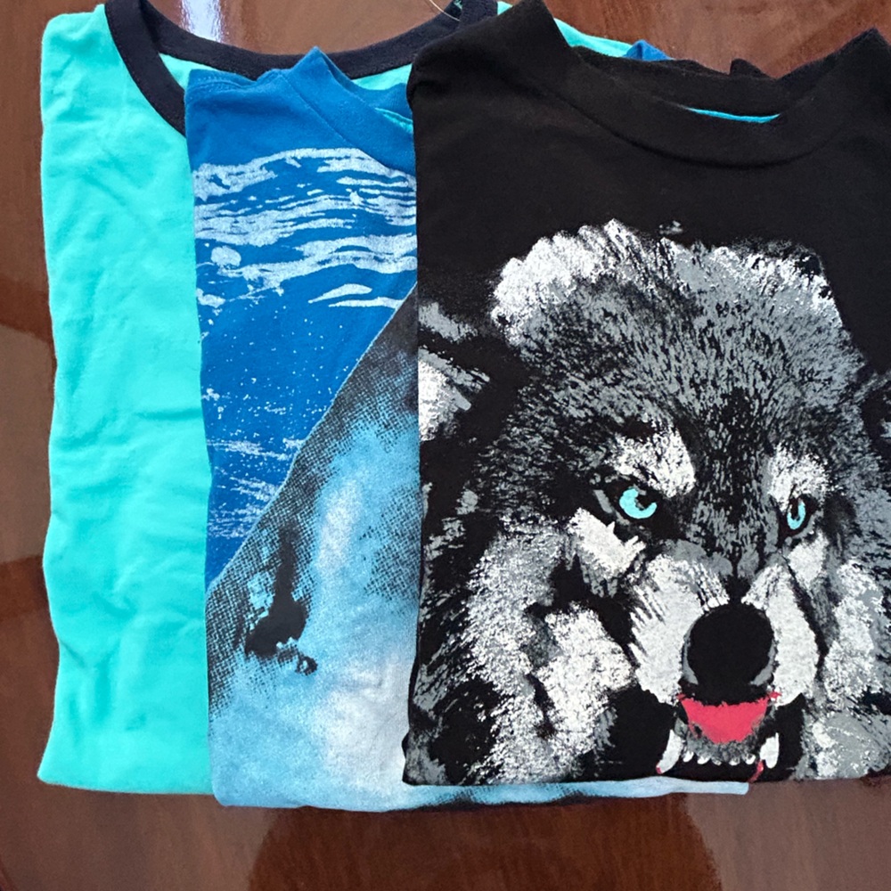 Old Navy-Children Place- Cotton Long Arm T/Shirts-Set of 3- Boys
3 X 15$ bundle